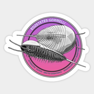 Cambrian Collection - Eozetetes gemmelli Sticker